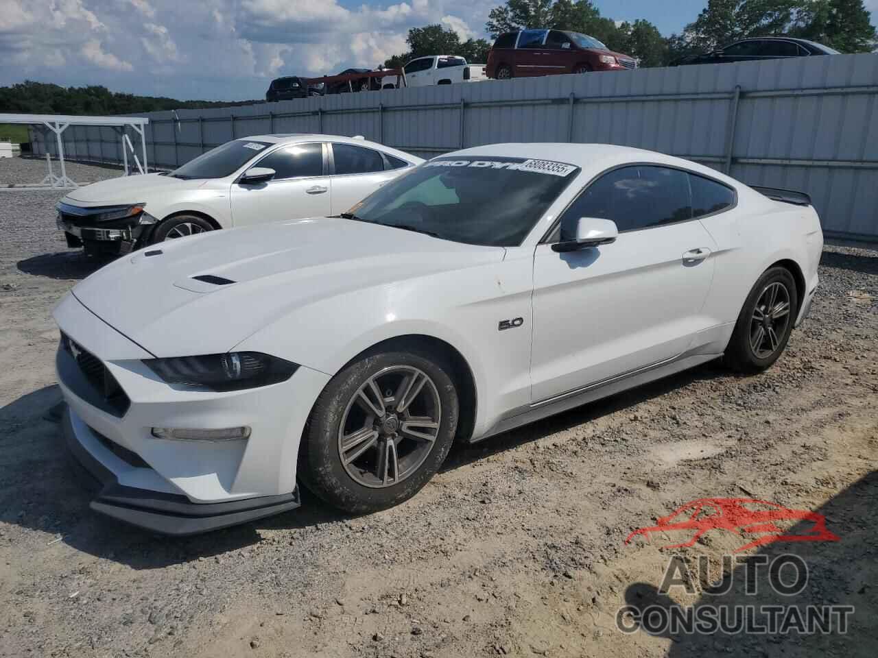 FORD MUSTANG 2019 - 1FA6P8CFXK5166655