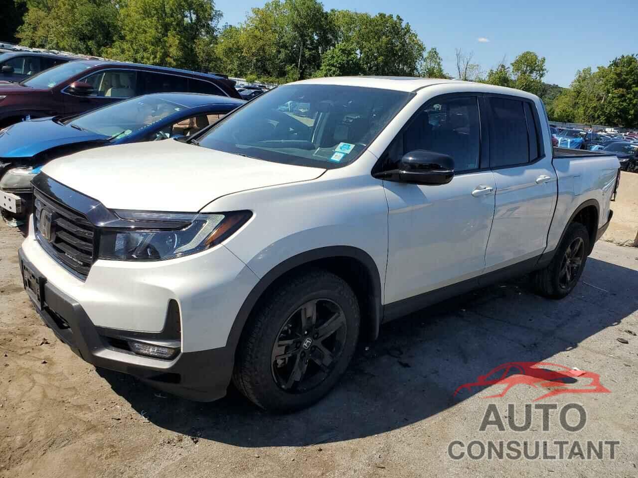 HONDA RIDGELINE 2022 - 5FPYK3F81NB013609