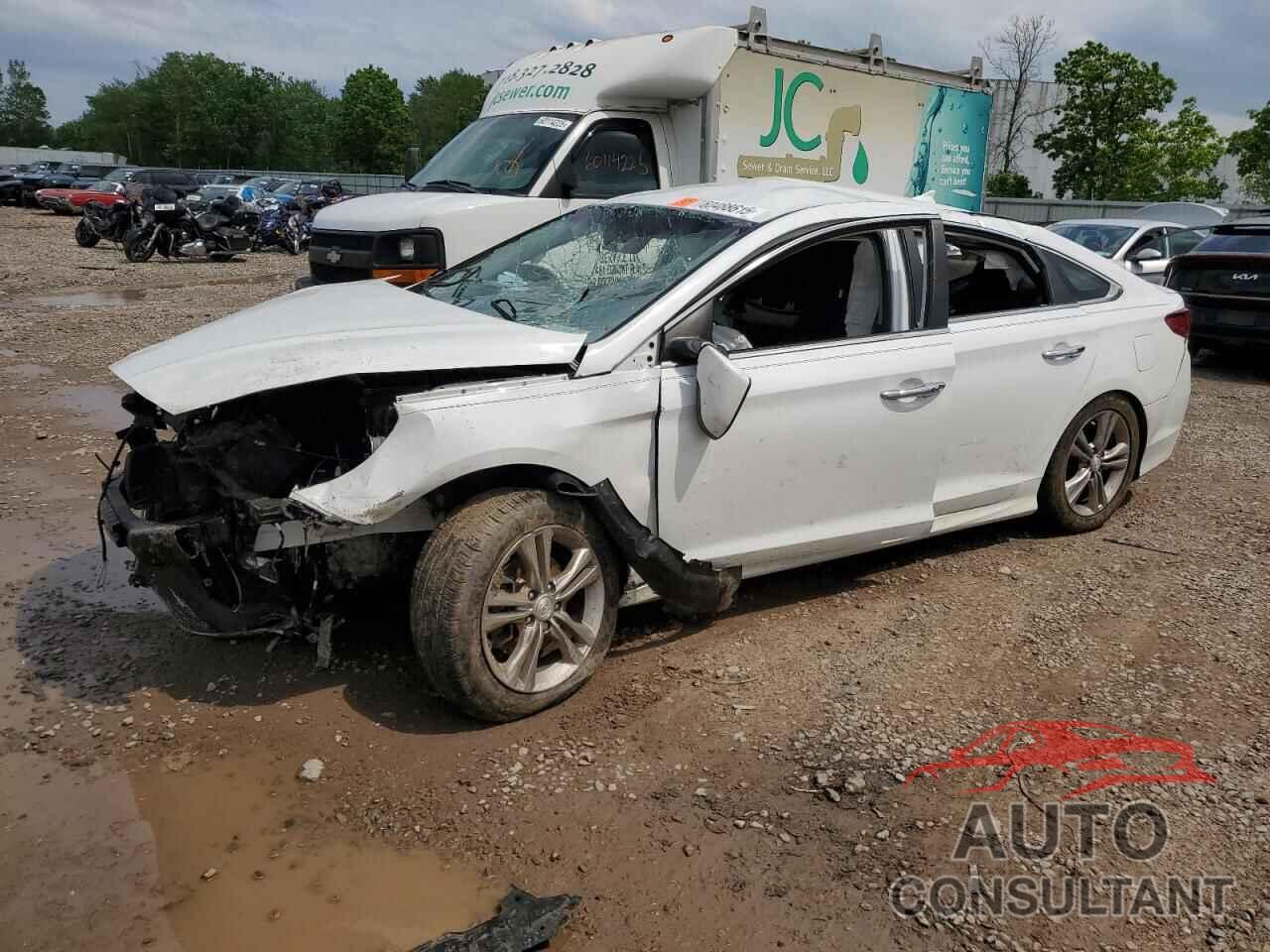 HYUNDAI SONATA 2019 - 5NPE34AF7KH743428