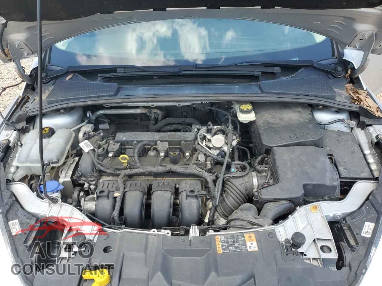 FORD FOCUS 2017 - 1FADP3F20HL208502