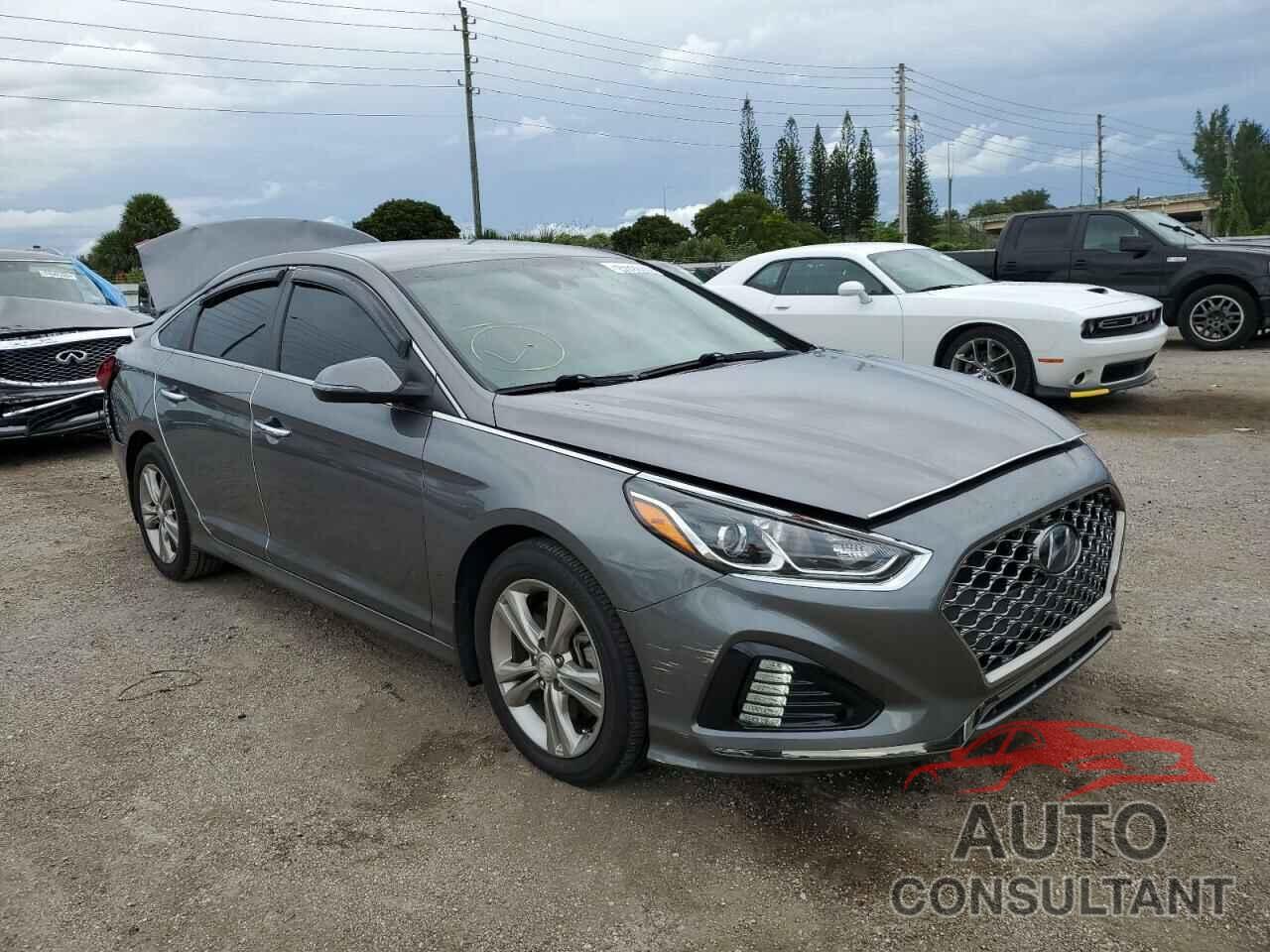 HYUNDAI SONATA 2019 - 5NPE34AF7KH731960