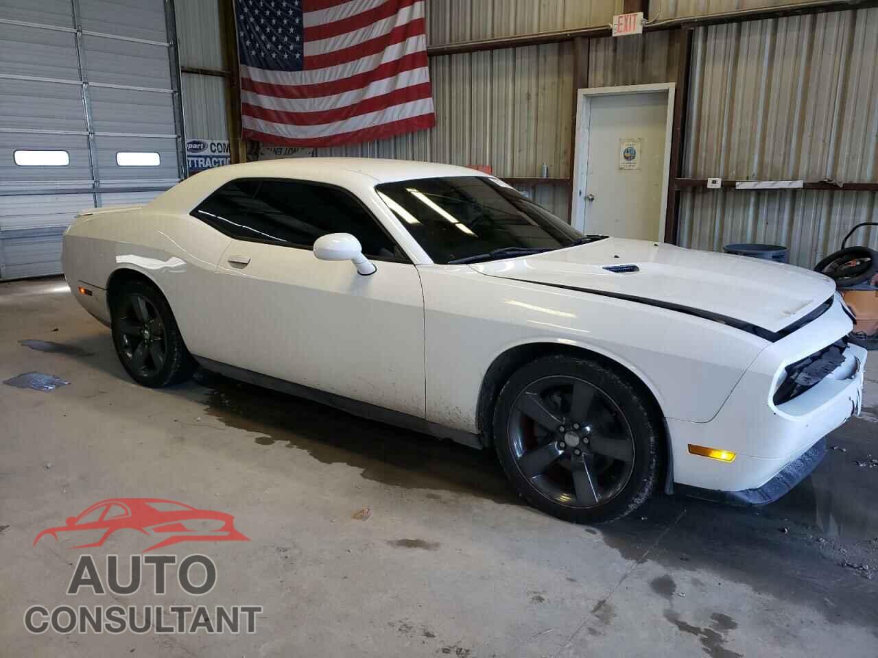 DODGE CHALLENGER 2013 - 2C3CDYAG3DH570057