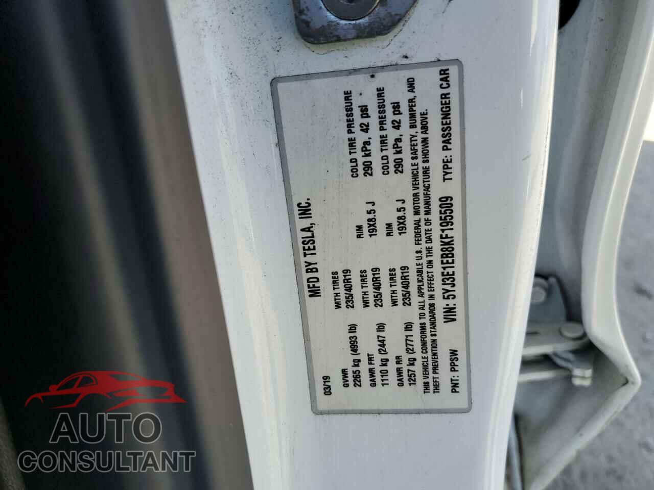 TESLA MODEL 3 2019 - 5YJ3E1EB8KF195509