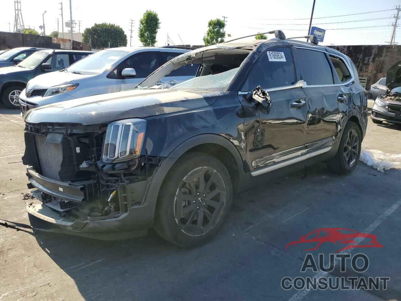 KIA TELLURIDE 2024 - 5XYP64GC3RG456084