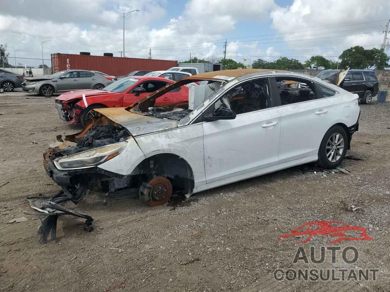 HYUNDAI SONATA 2019 - 5NPE24AF7KH734277