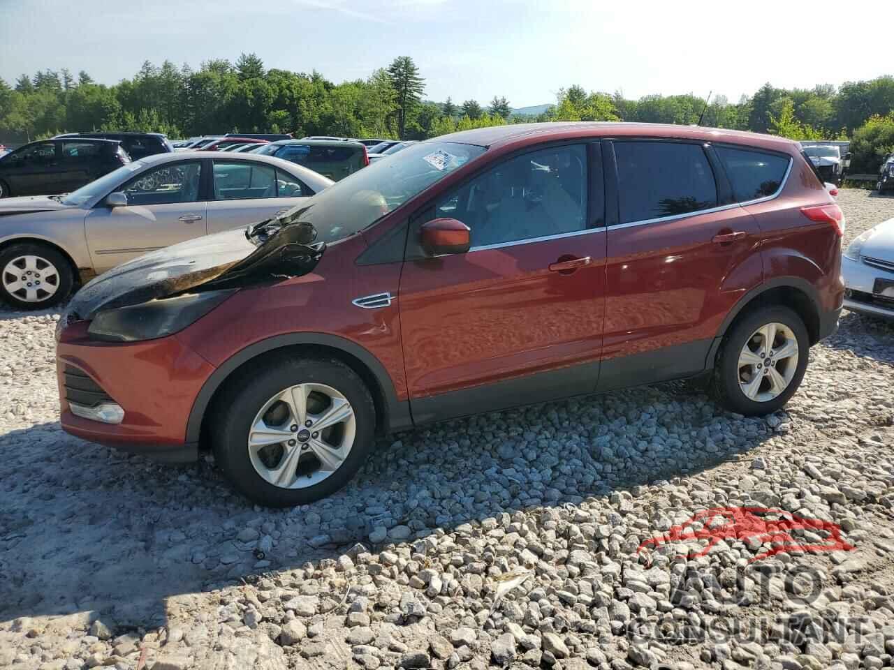 FORD ESCAPE 2014 - 1FMCU0GXXEUB81477