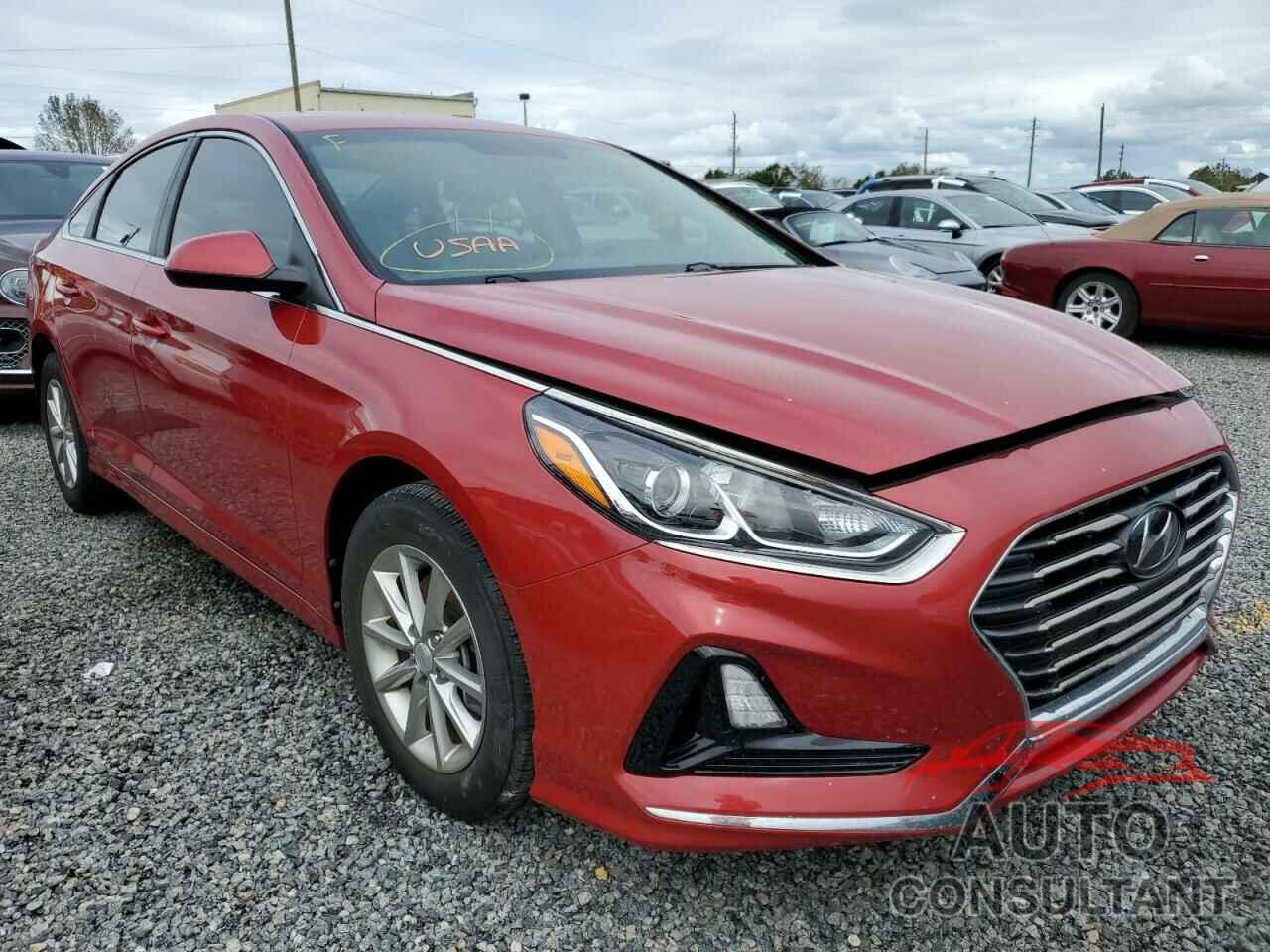 HYUNDAI SONATA 2019 - 5NPE24AF7KH795998