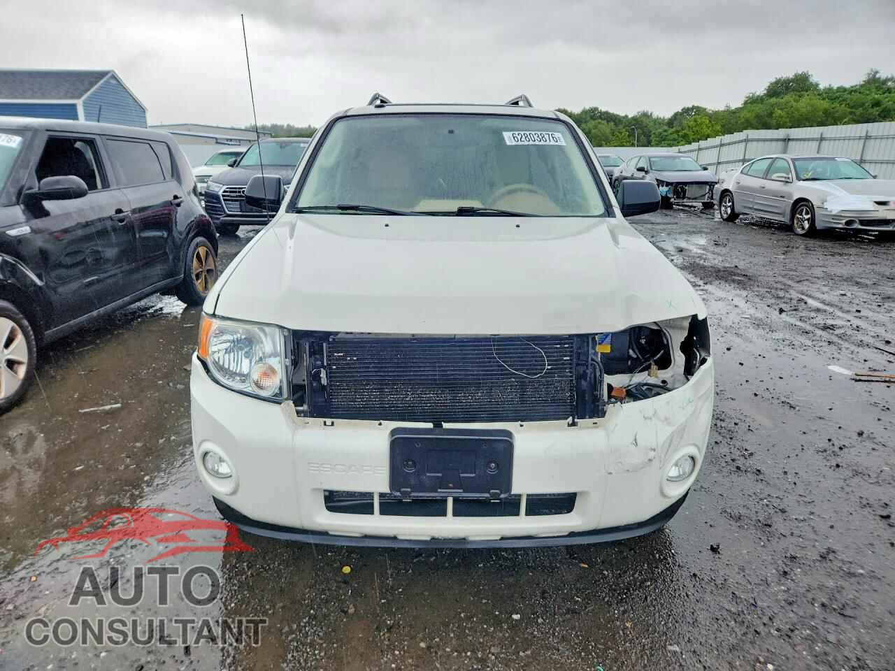 FORD ESCAPE 2010 - 1FMCU9D76AKC04882