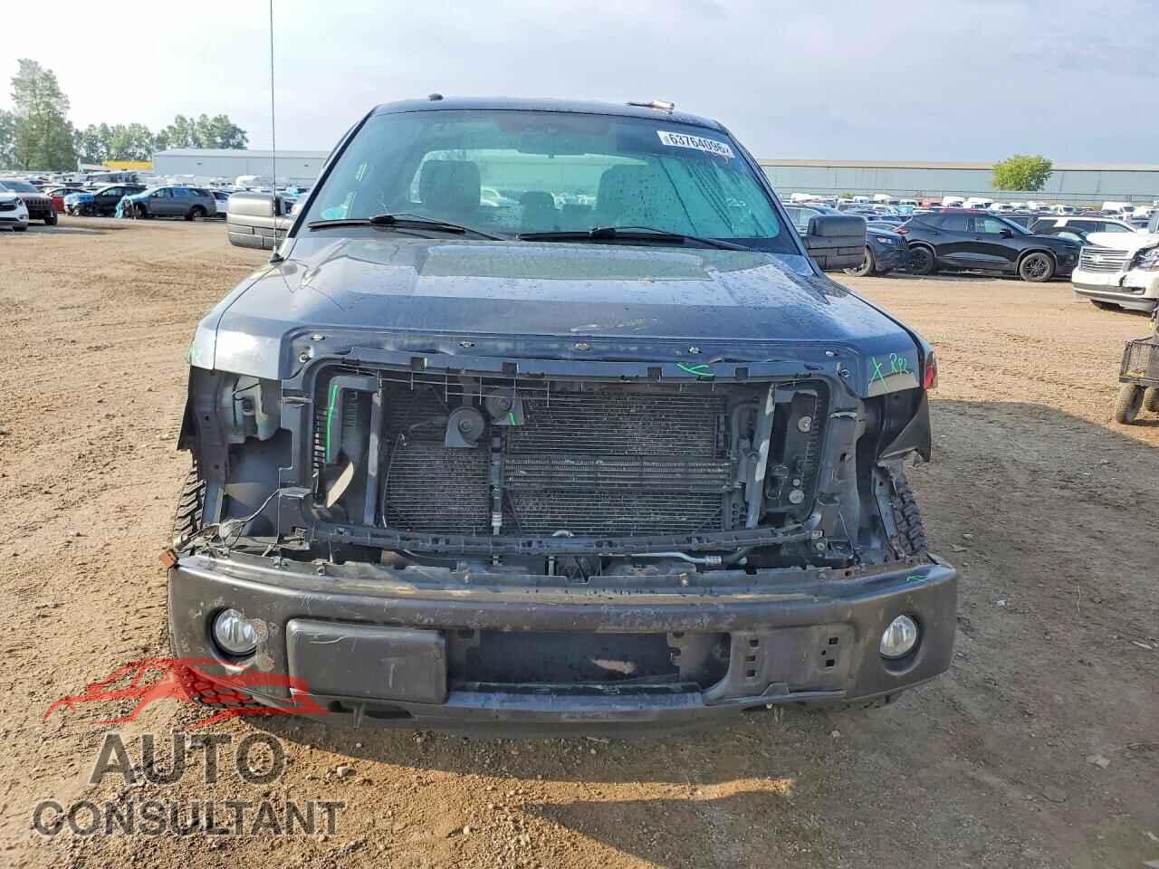 FORD F150 2014 - 1FTFX1EF2EFA43316