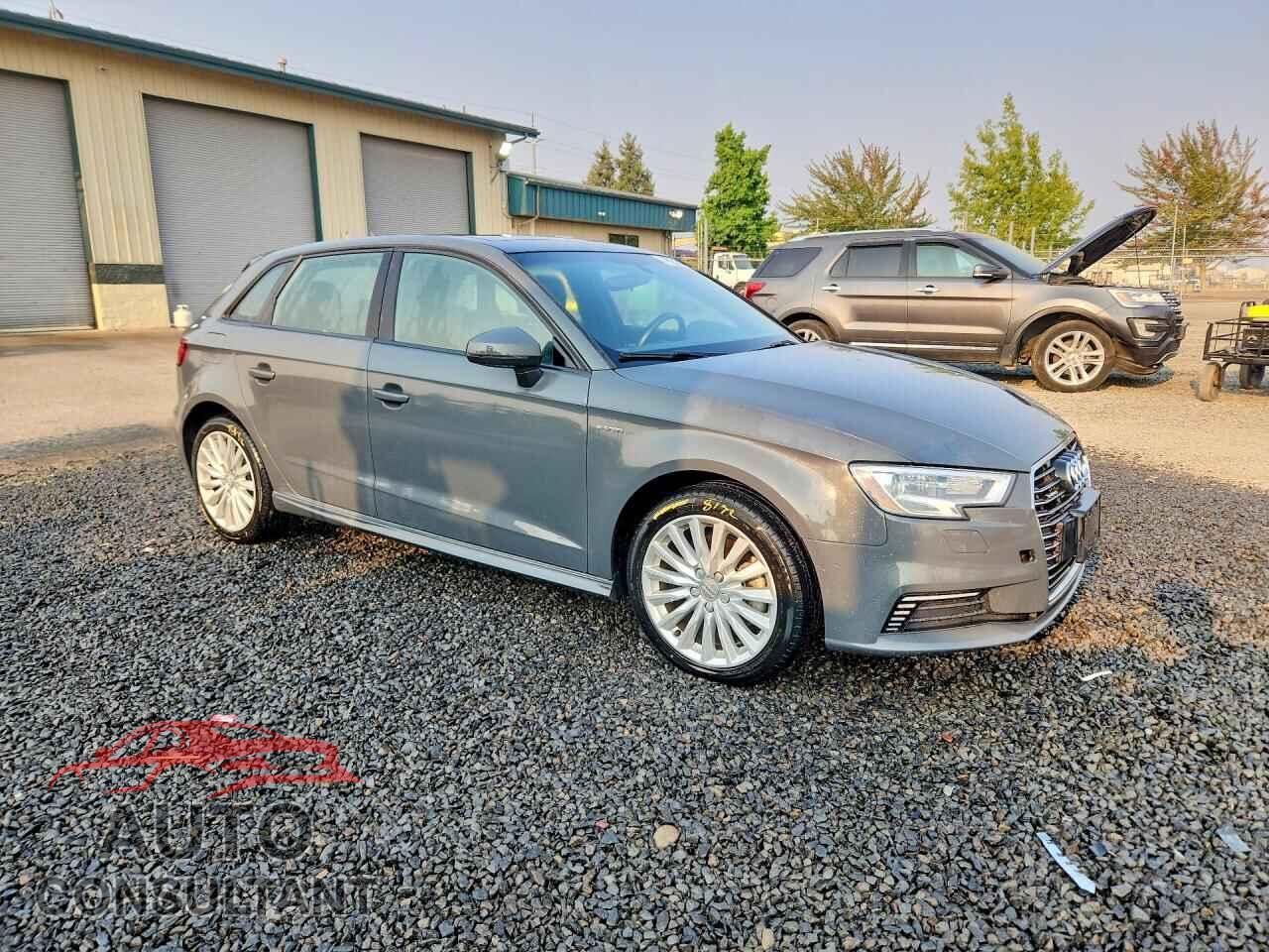 AUDI A3 2017 - WAUUPBFF8HA042066