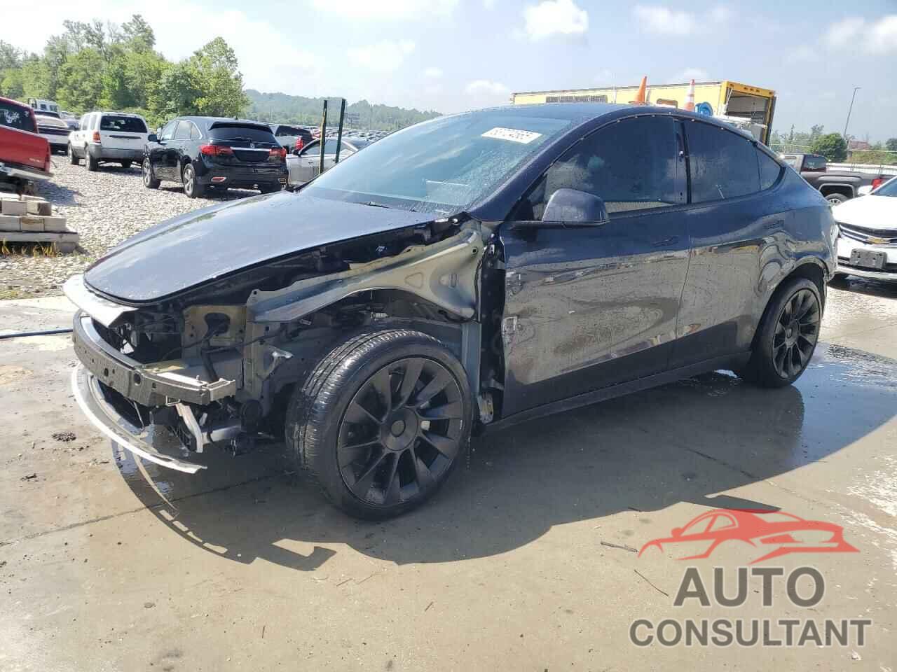 TESLA MODEL Y 2024 - 7SAYGDEE6RF991040