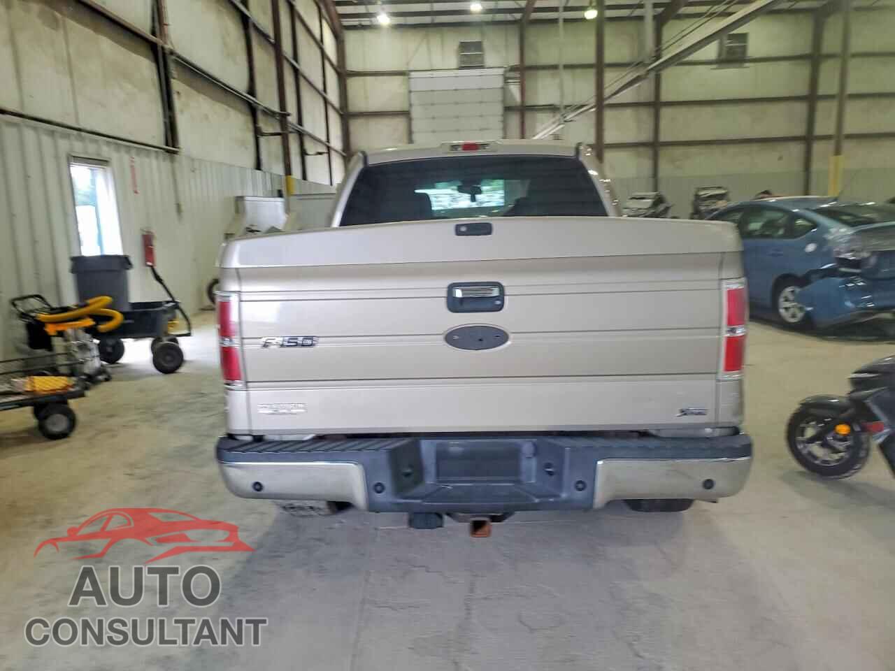 FORD F150 2010 - 1FTFW1EV8AFD64961