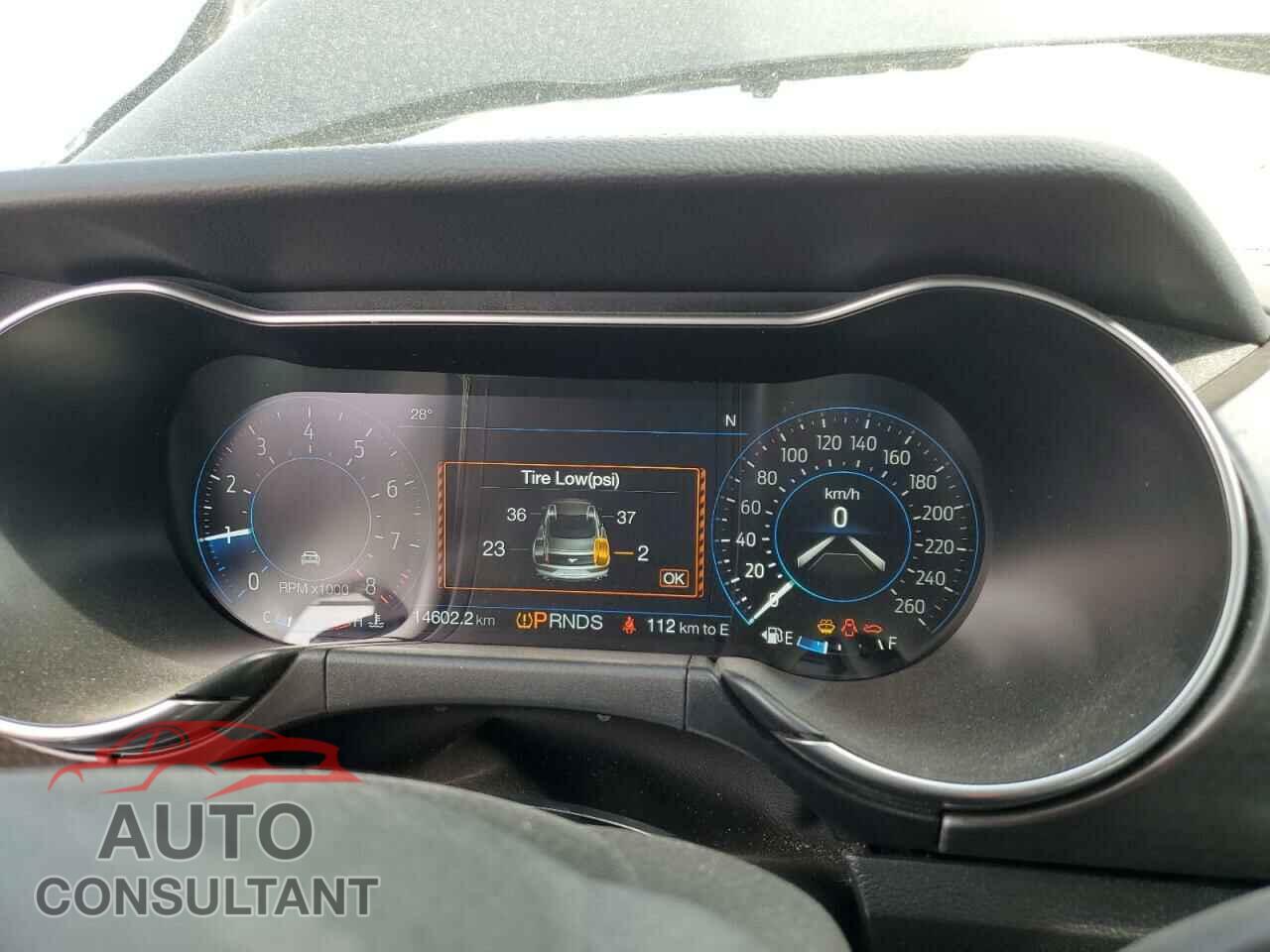 FORD MUSTANG 2021 - 1FATP8FF0M5105896