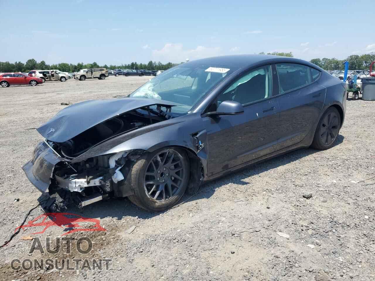 TESLA MODEL 3 2025 - 5YJ3E1EA2SF030059
