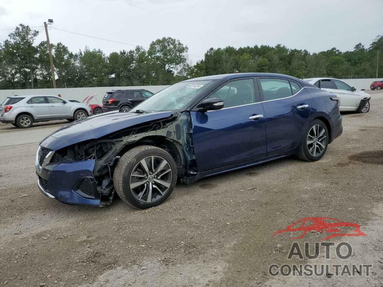 NISSAN MAXIMA 2019 - 1N4AA6AV2KC384885