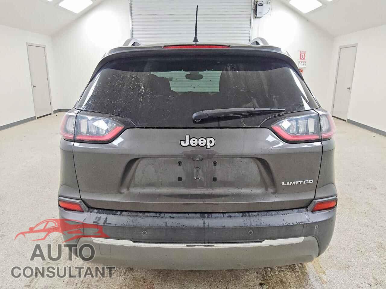 JEEP CHEROKEE 2019 - 1C4PJLDB2KD207865