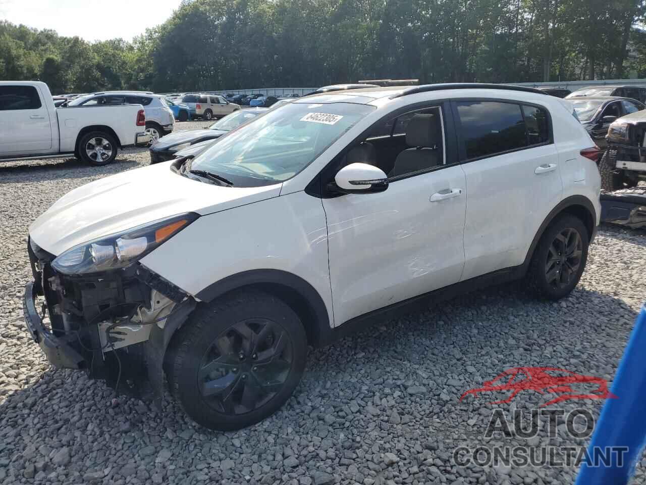KIA SPORTAGE 2022 - KNDP6CAC0N7001848