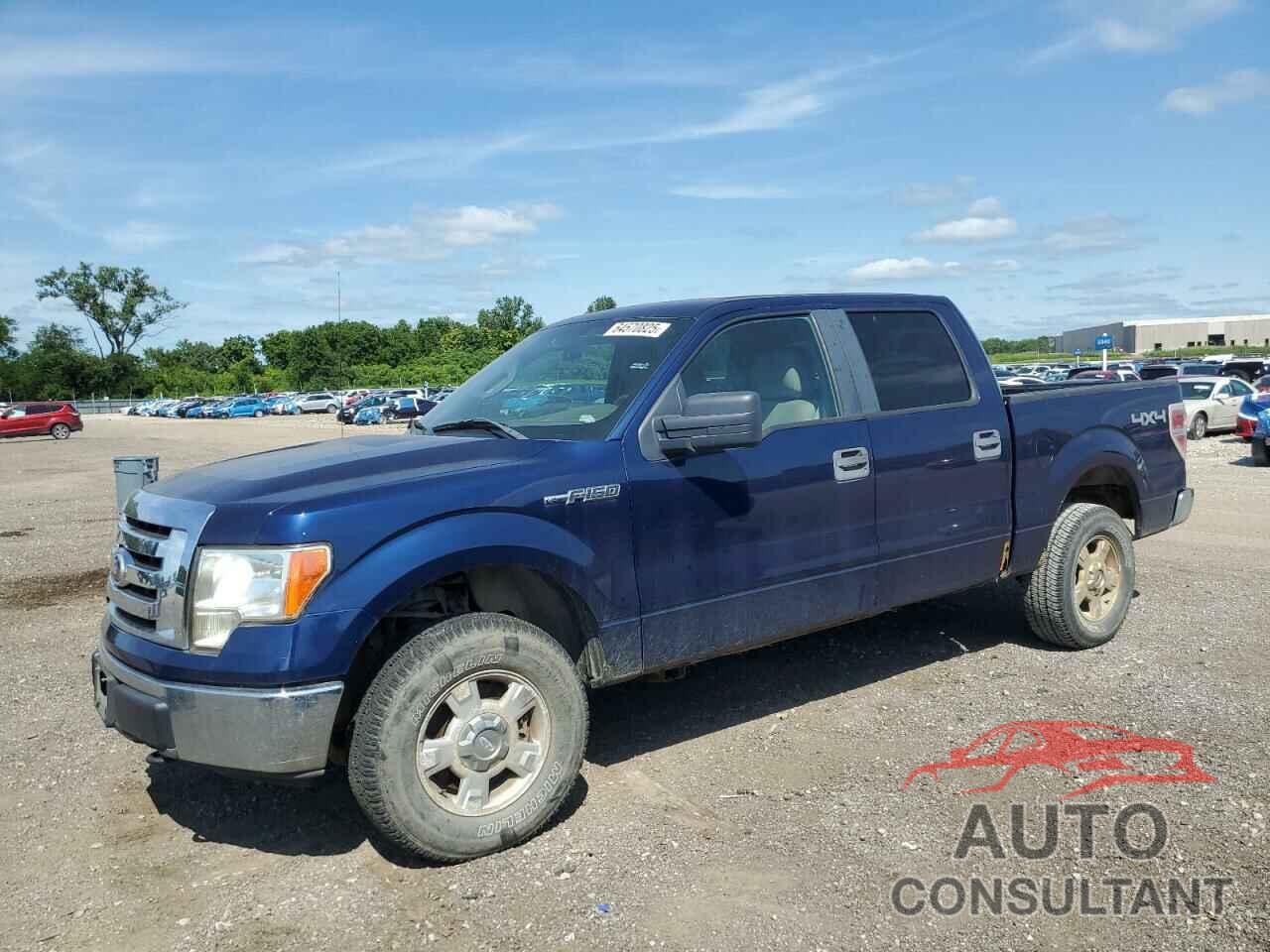 FORD F-150 2010 - 1FTEW1E87AKE20790