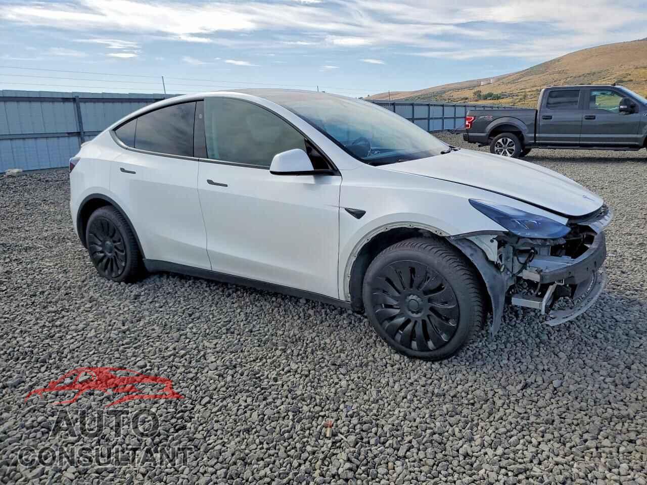 TESLA MODEL Y 2024 - 7SAYGDEE7RA259139