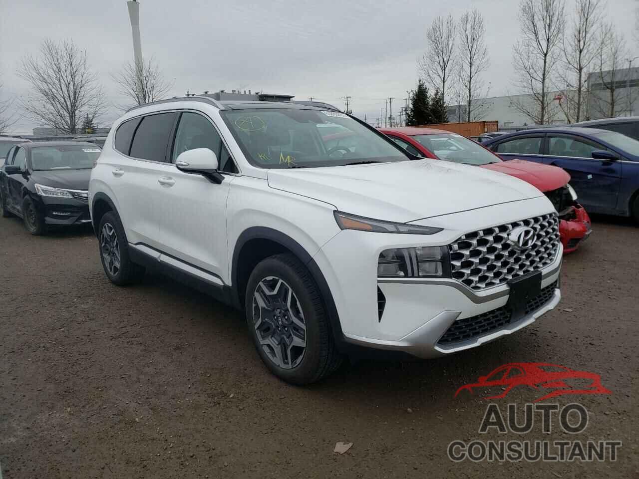 HYUNDAI SANTA FE 2021 - KM8S3DA12MU009842