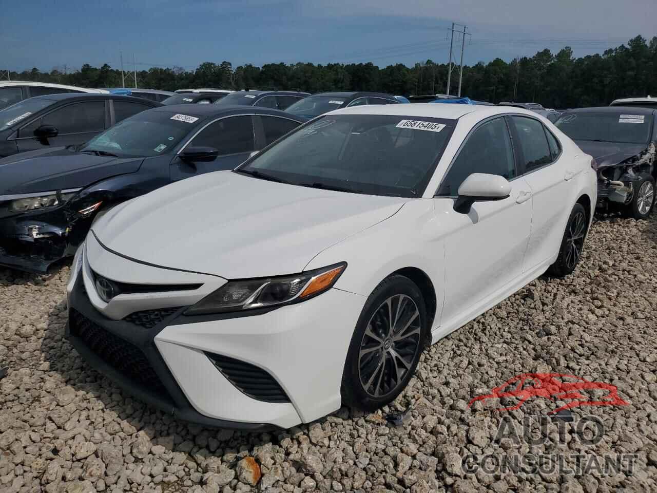 TOYOTA CAMRY 2019 - 4T1B11HK0KU775892