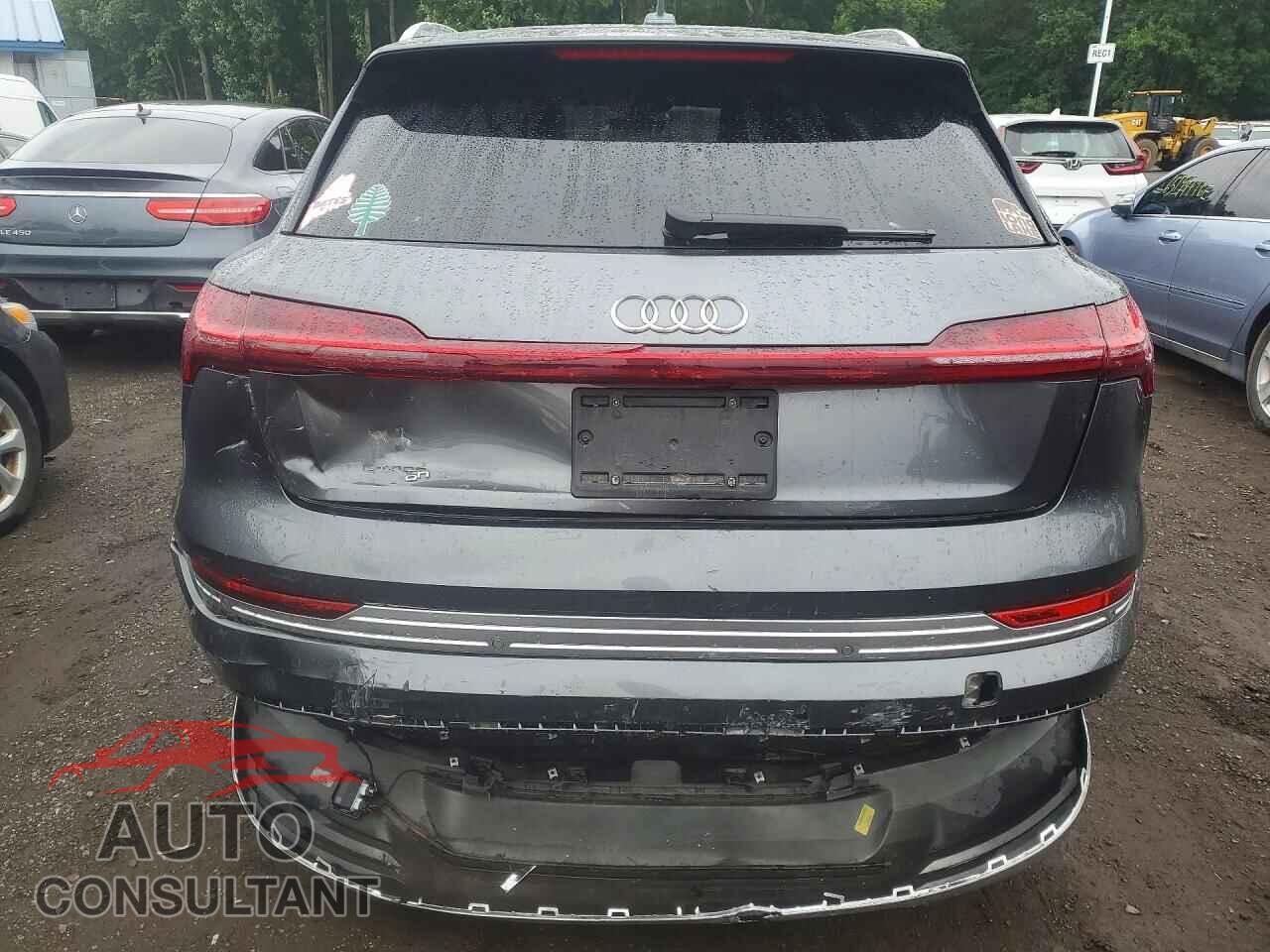 AUDI E-TRON 2019 - WA1VAAGE3KB006760