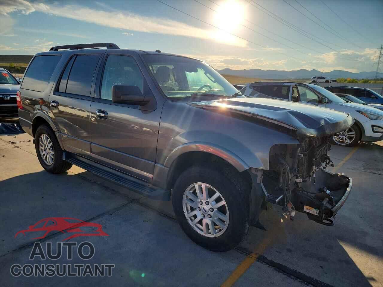 FORD EXPEDITION 2014 - 1FMJU1J50EEF05390