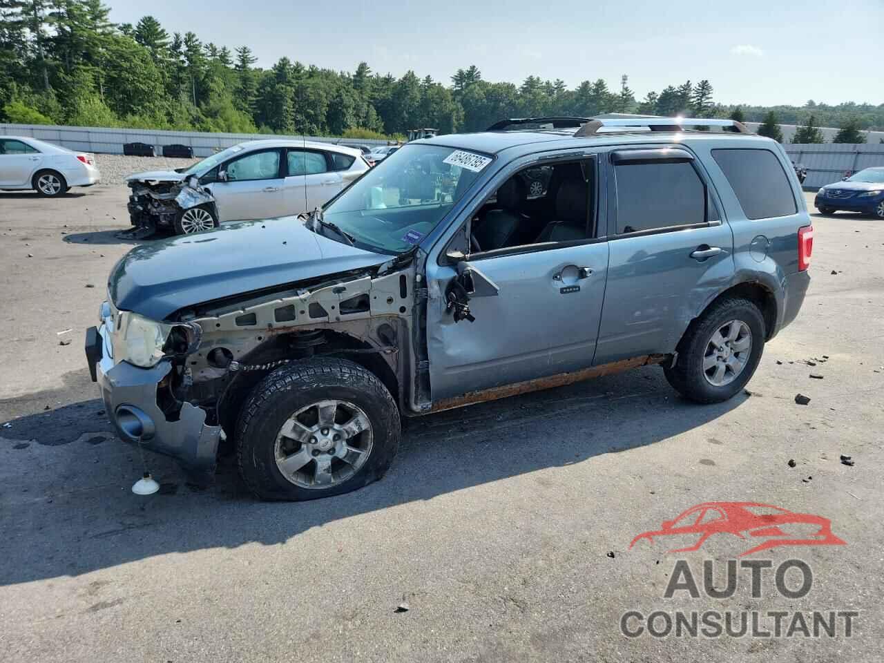 FORD ESCAPE 2010 - 1FMCU9EG2AKB77856
