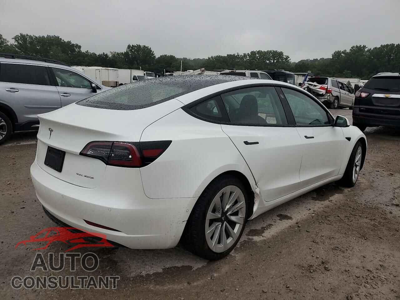 TESLA MODEL 3 2021 - 5YJ3E1EB0MF862446