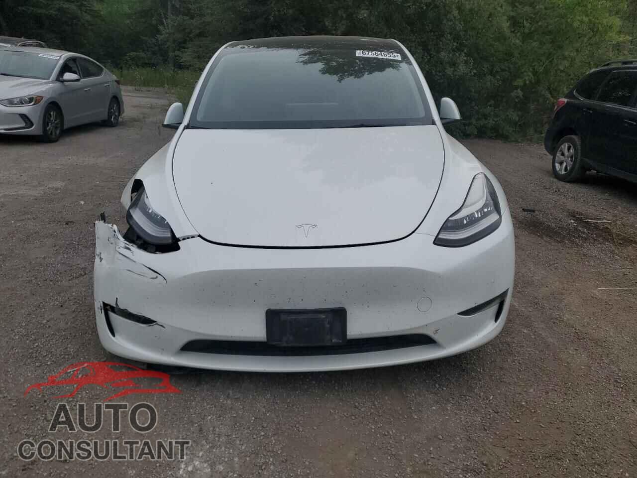 TESLA MODEL Y 2022 - 7SAYGDEE9NF514144