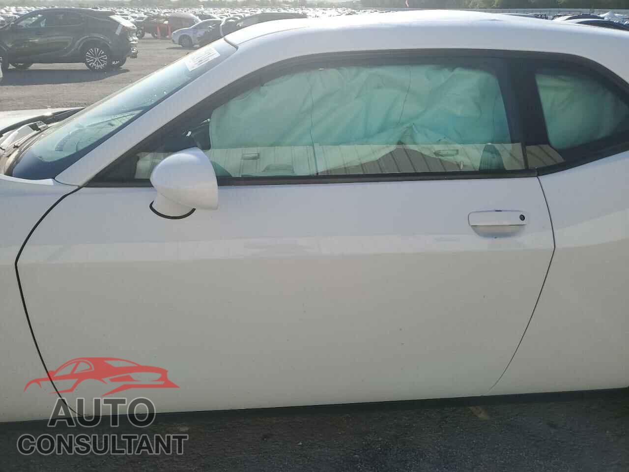 DODGE CHALLENGER 2019 - 2C3CDZAGXKH565392