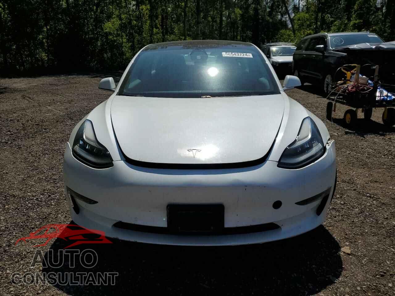 TESLA MODEL 3 2019 - 5YJ3E1EA2KF480410