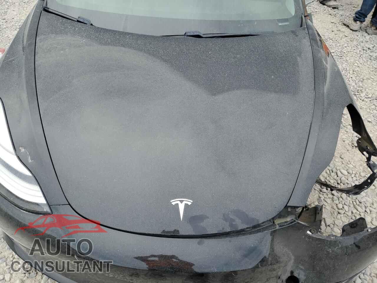 TESLA MODEL 3 2019 - 5YJ3E1EB9KF413277