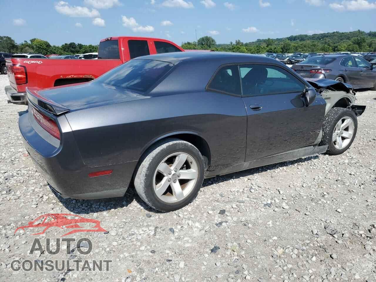 DODGE CHALLENGER 2013 - 2C3CDYAG6DH718816