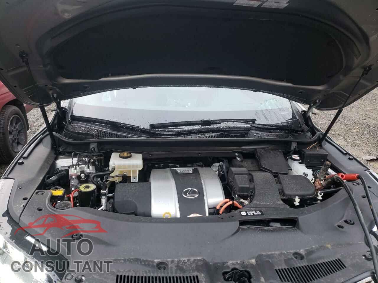 LEXUS RX450 2020 - 2T2SGMDA9LC045183