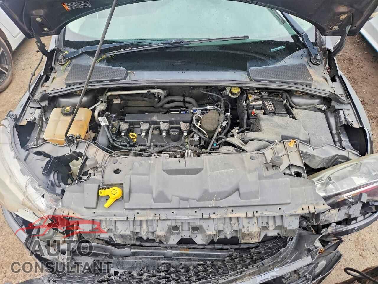 FORD FOCUS 2015 - 1FADP3F20FL292687