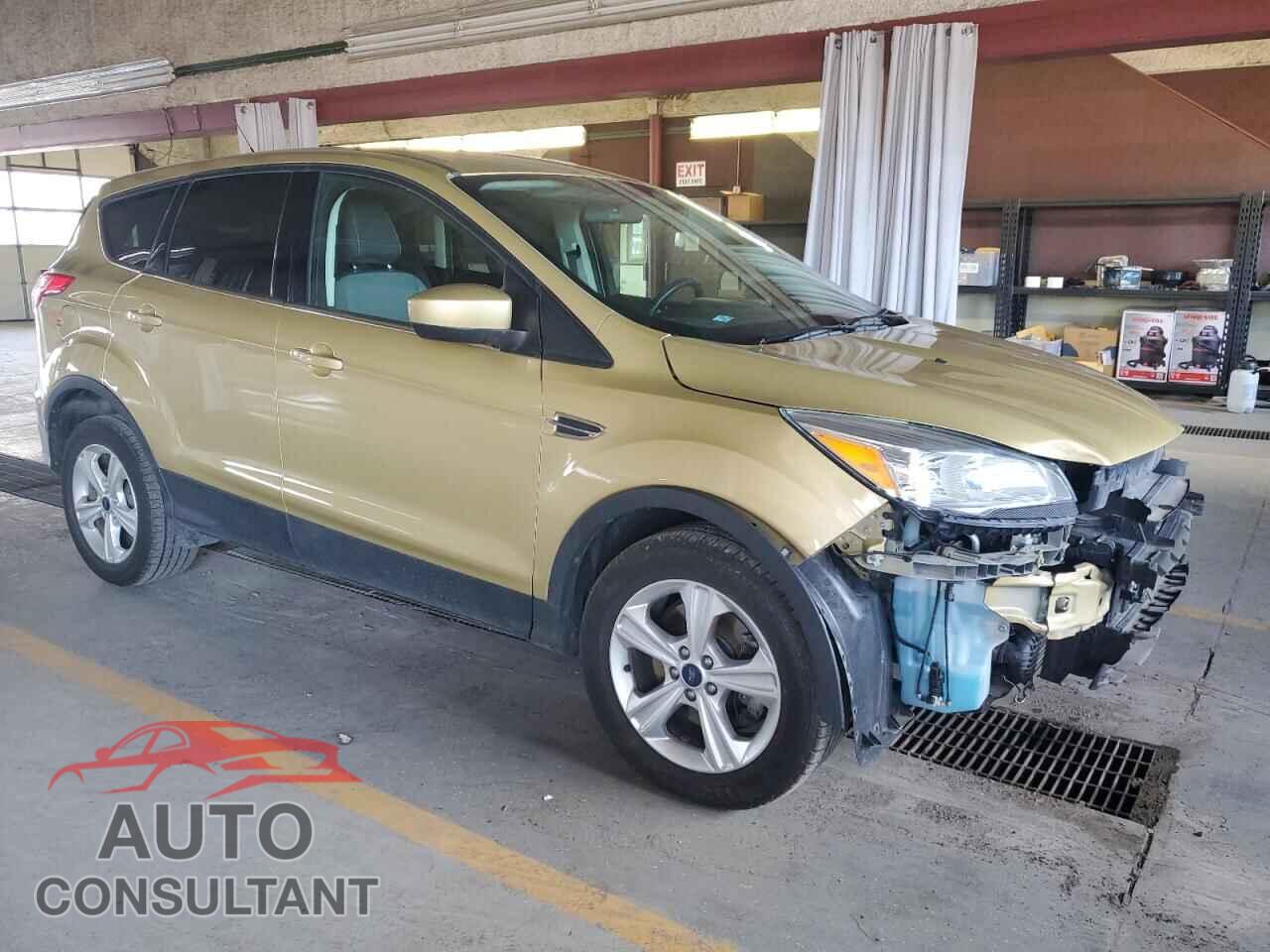 FORD ESCAPE 2014 - 1FMCU9GX4EUC21752