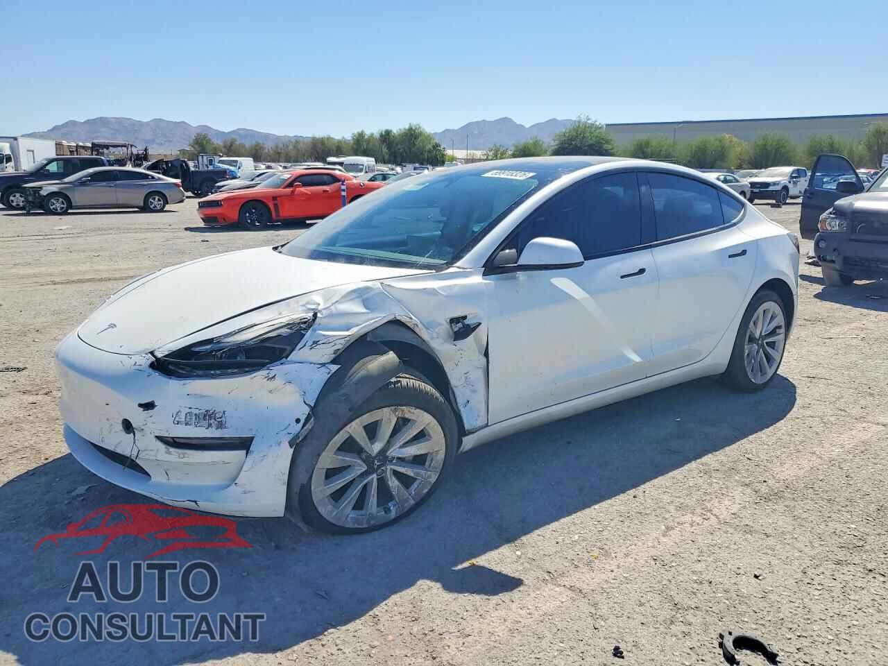 TESLA MODEL 3 2021 - 5YJ3E1EA4MF978725