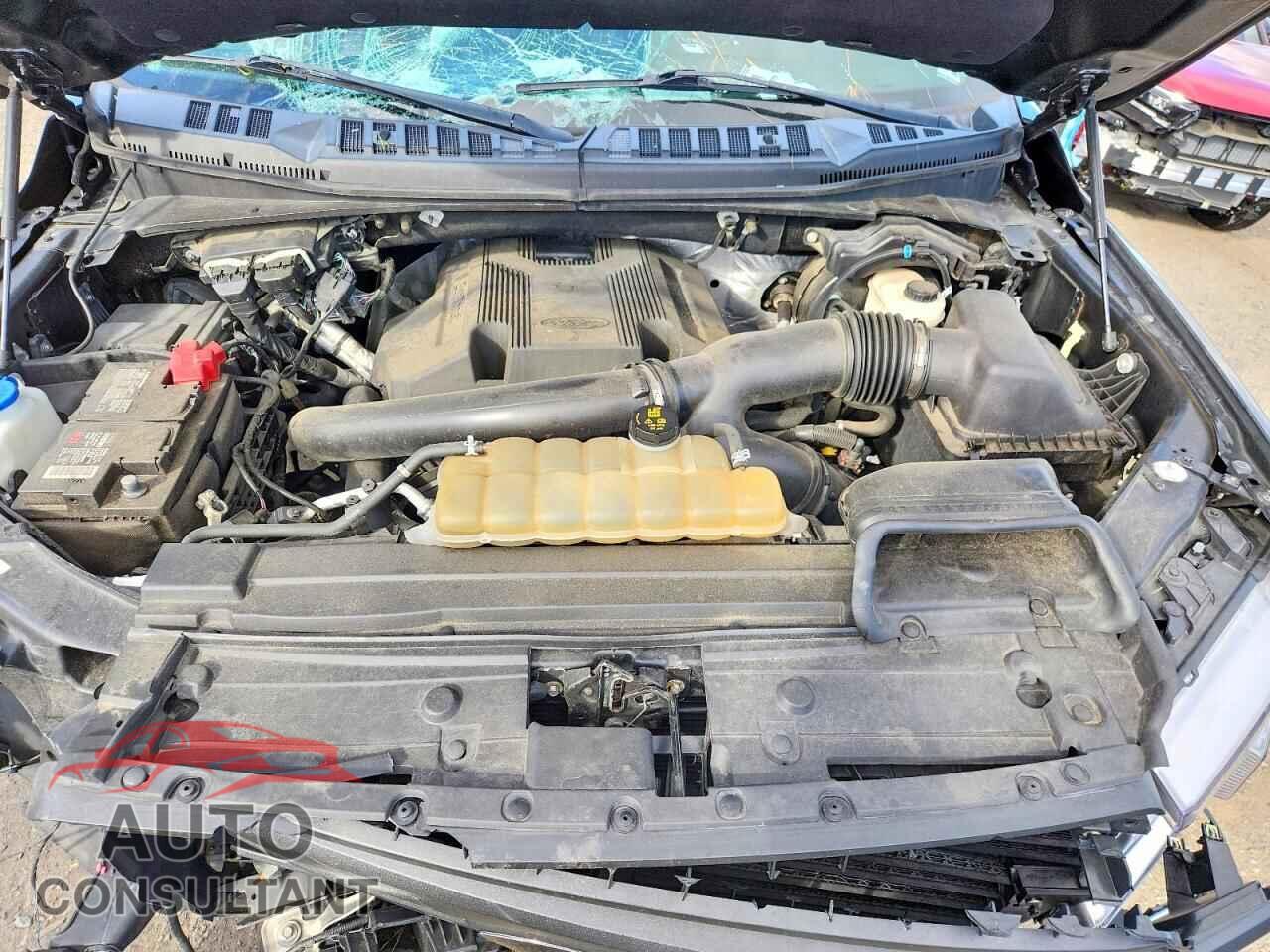 FORD F150 2019 - 1FTEW1E45KFC28257