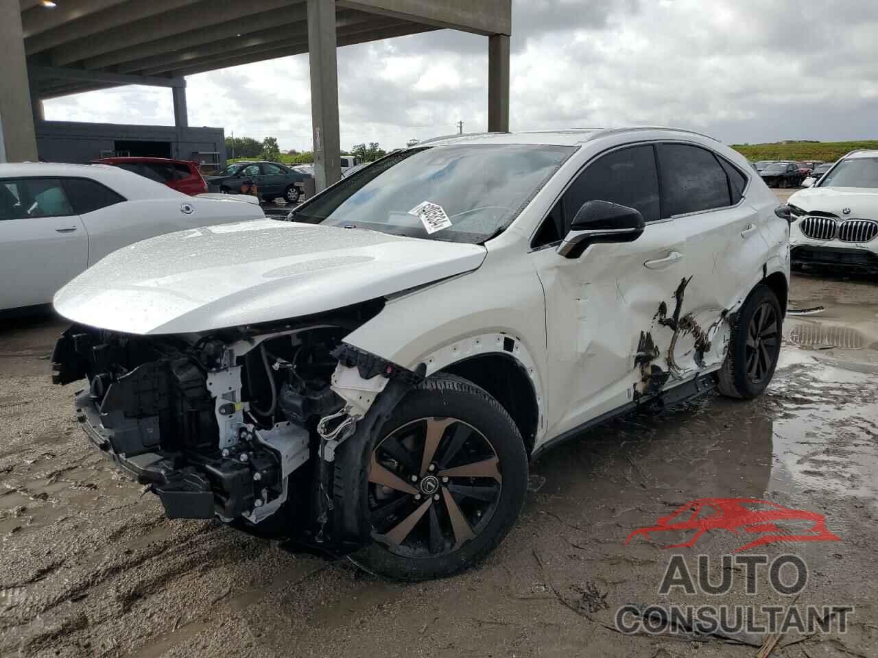 LEXUS NX 2020 - JTJGARBZ9L2171055