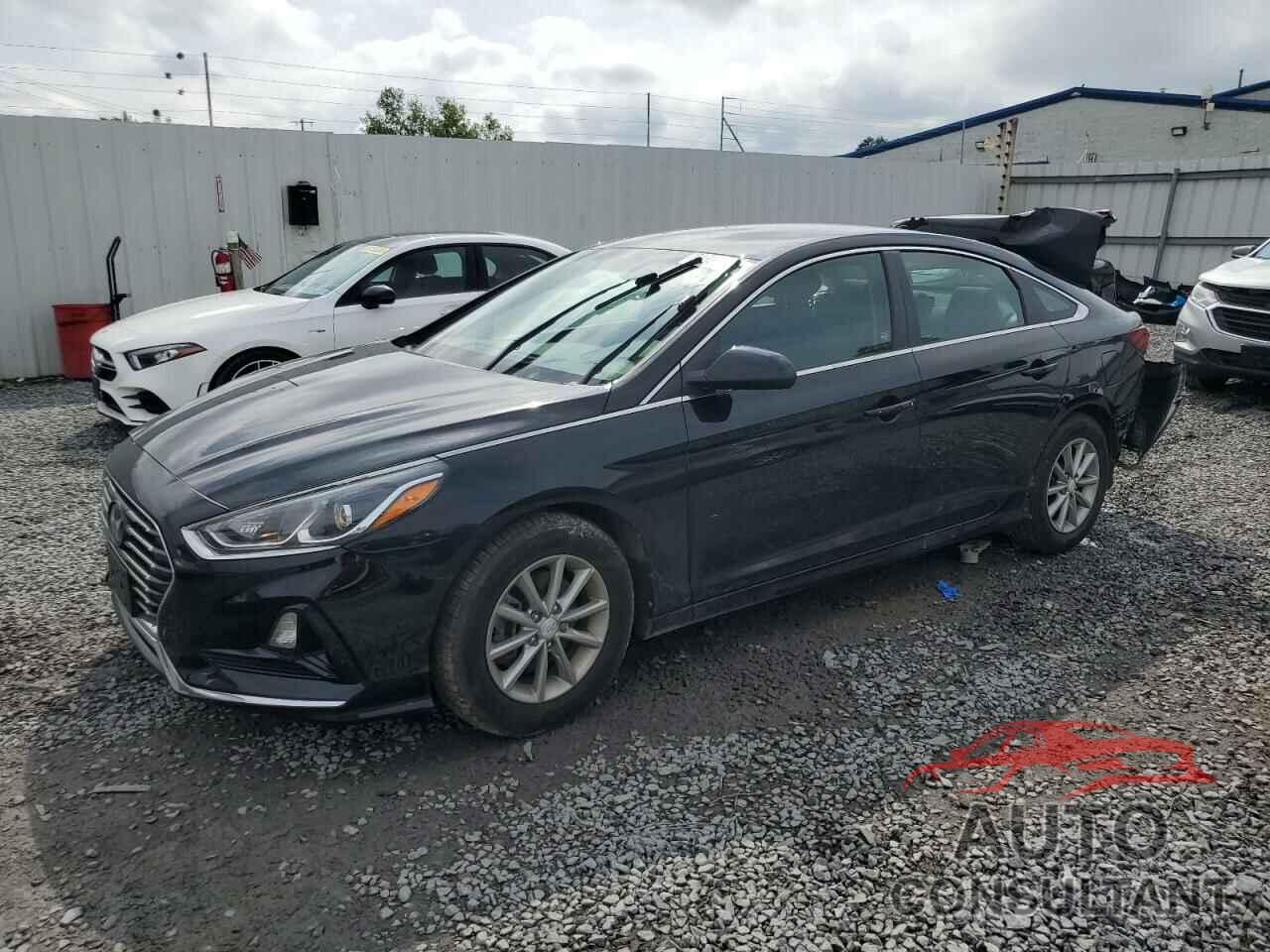 HYUNDAI SONATA 2019 - 5NPE24AF3KH755787