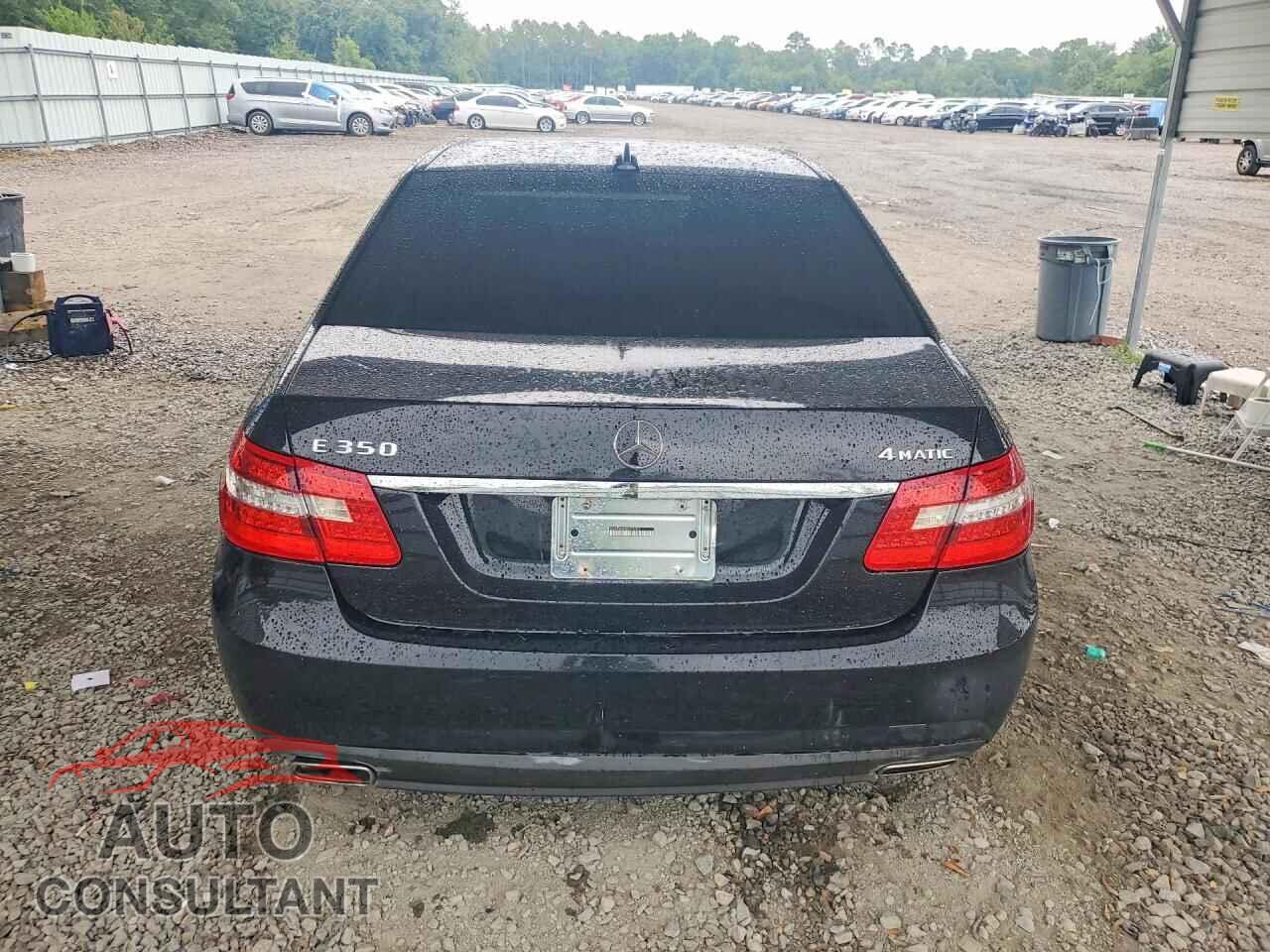 MERCEDES-BENZ E-CLASS 2011 - WDDHF8HB3BA375485