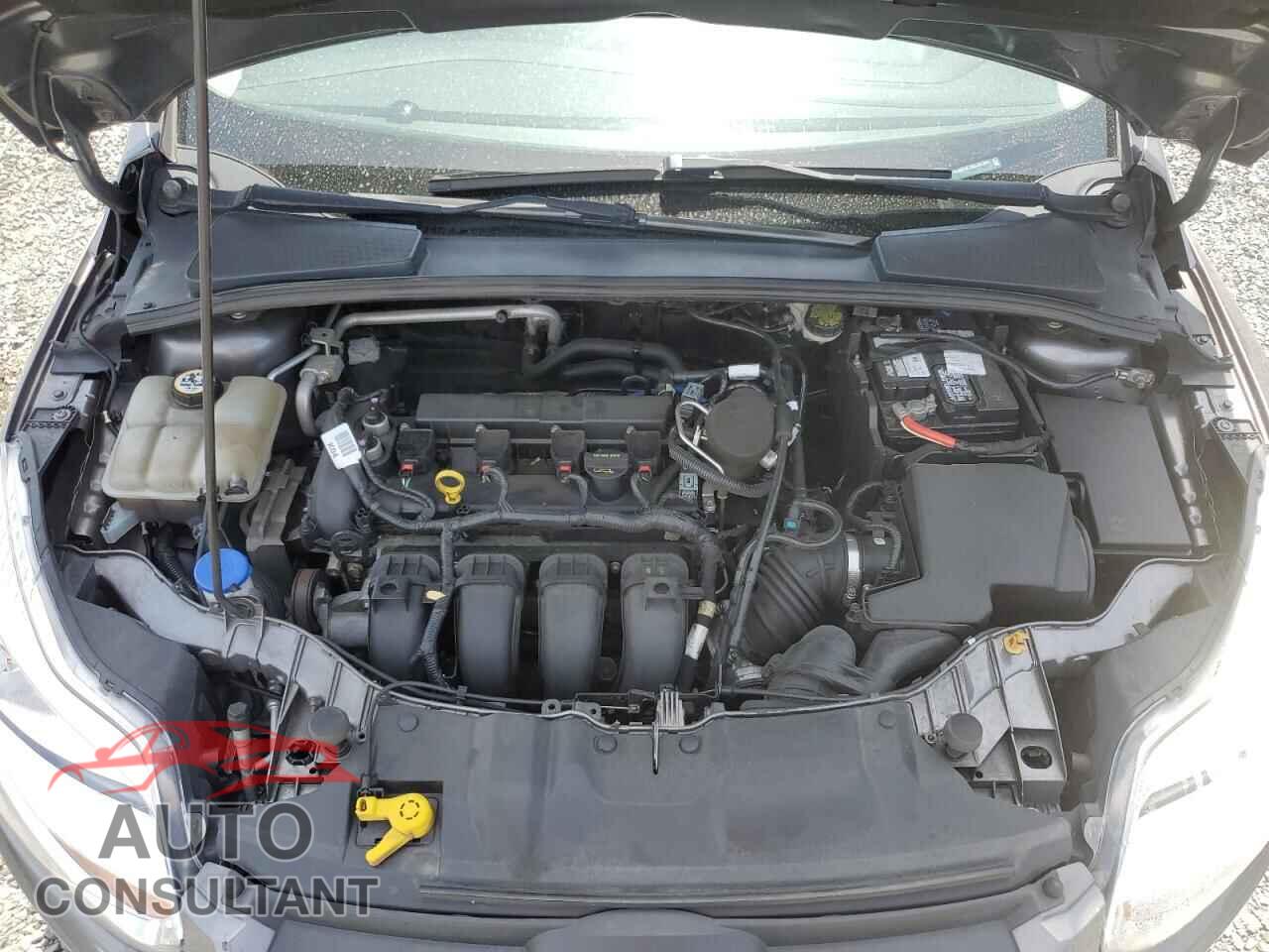 FORD FOCUS 2014 - 1FADP3F25EL287404