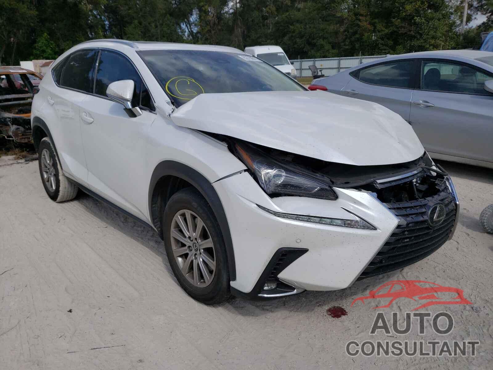 LEXUS NX 2019 - JTJYARBZ5K2130554