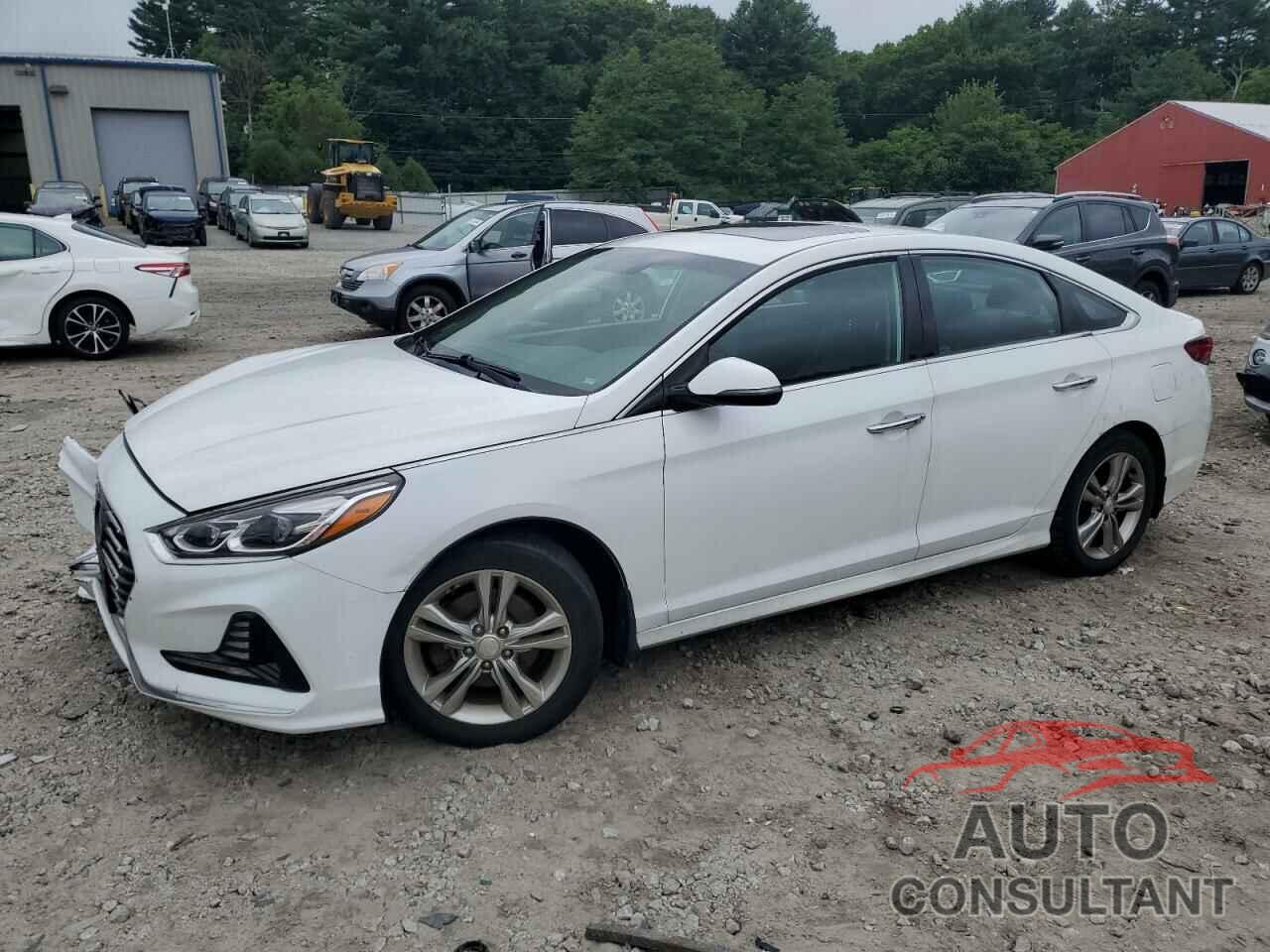 HYUNDAI SONATA 2018 - 5NPE34AF3JH662019