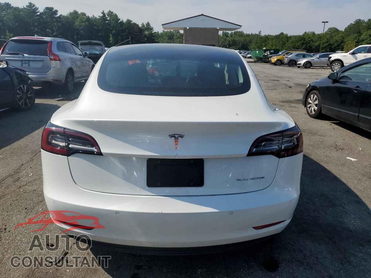 TESLA MODEL 3 2019 - 5YJ3E1EB0KF493598