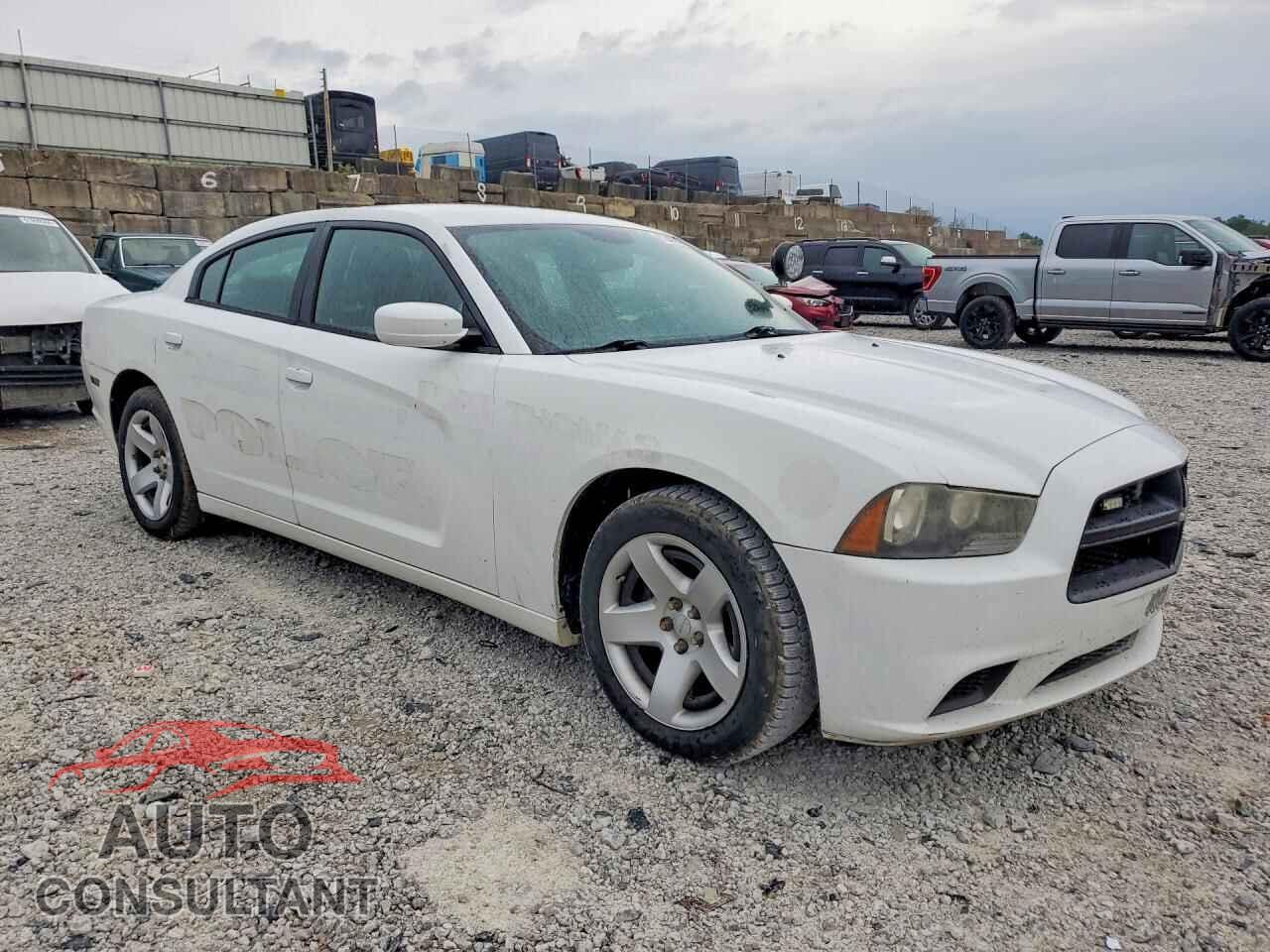 DODGE CHARGER 2014 - 2C3CDXAT1EH145848