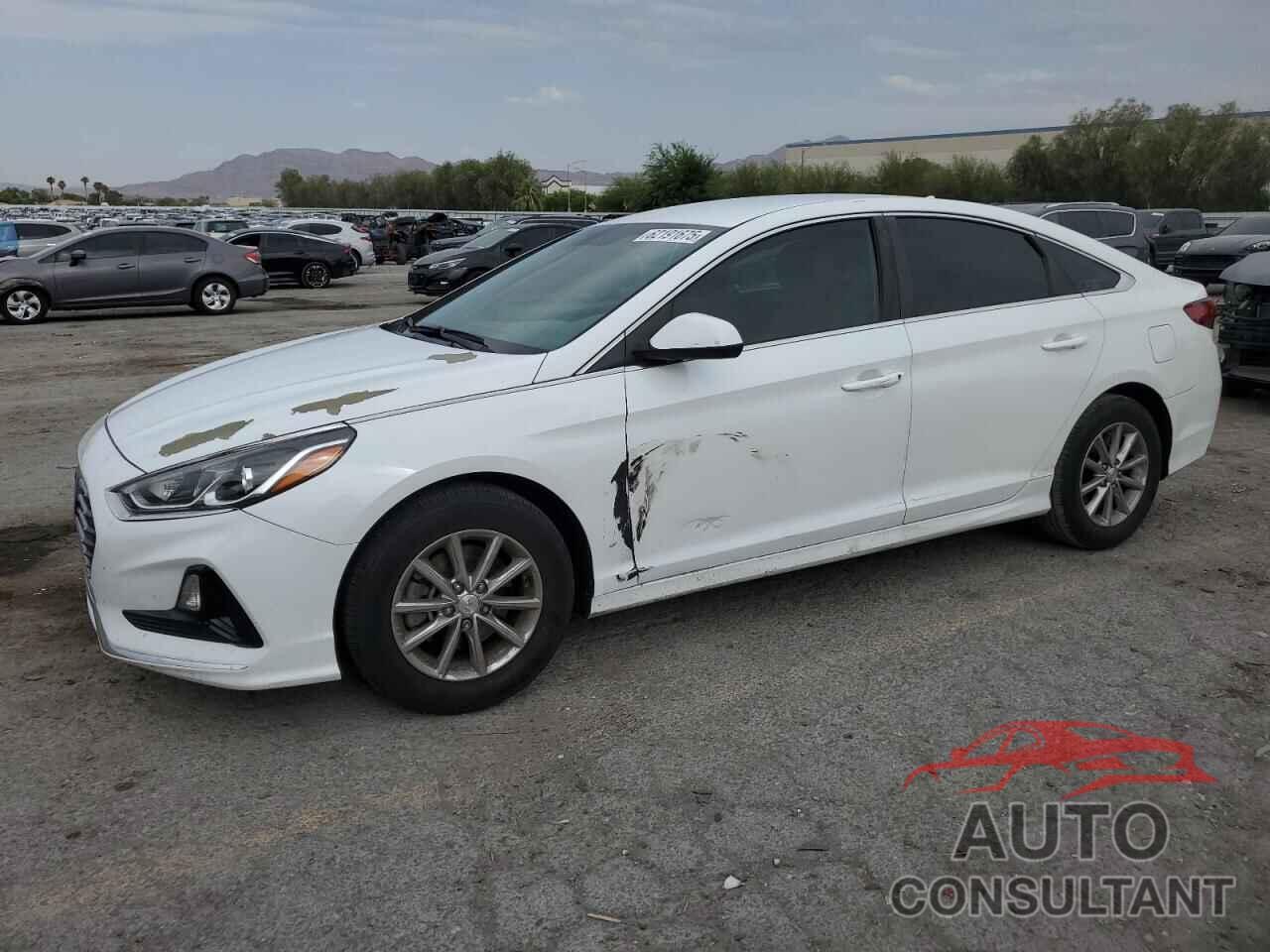HYUNDAI SONATA 2019 - 5NPE24AF7KH776934