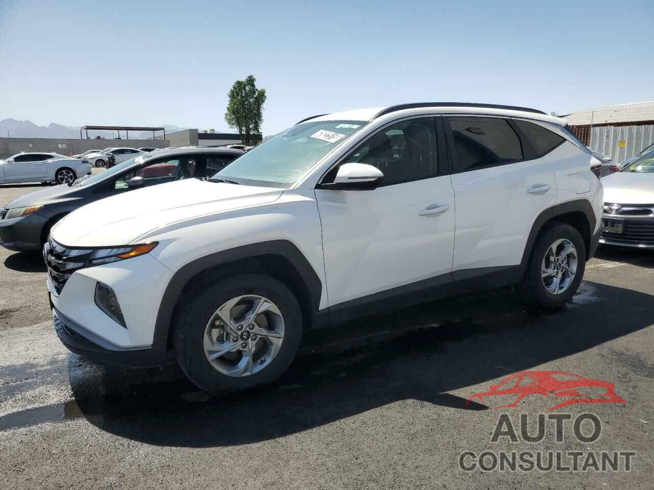 HYUNDAI TUCSON 2023 - 5NMJBCAE5PH208542