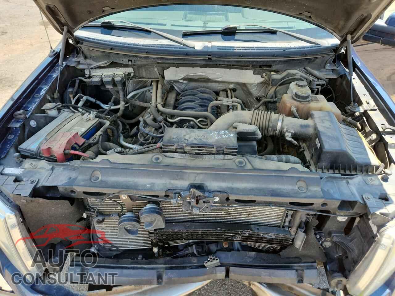 FORD F-150 2013 - 1FTFW1EF3DFB79908
